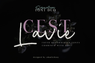 Cest Lavie Duo: A Font for Every Mood